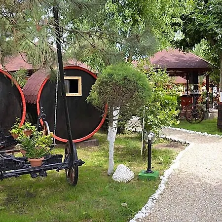 Hotel Poienita *
